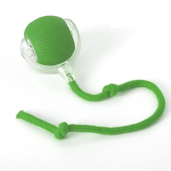 Green Interactive Smart Pet Toy Ball for Cats and Dogs