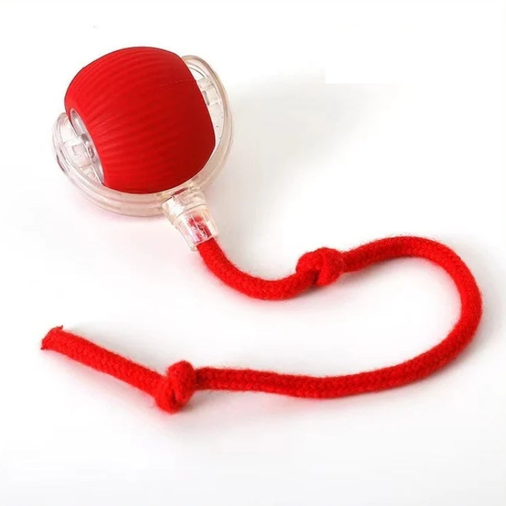 Red Interactive Smart Pet Toy Ball for Cats and Dogs