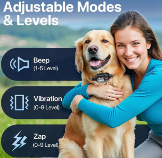 c15c79dde87710ed3f52ece852335344